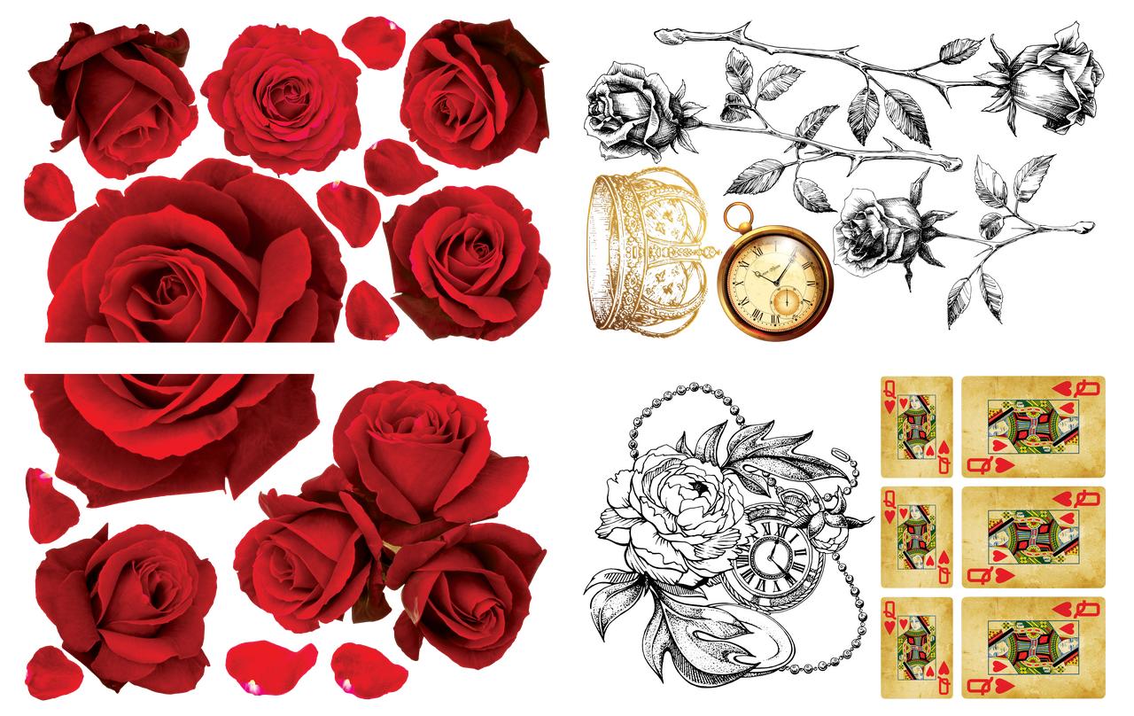 Dixie Belle Roses are Red - Transfer