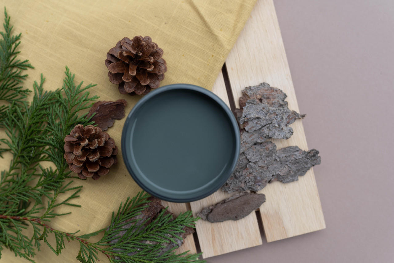 Dixie Belle Smoky Mountains Silk All-In-One Mineral Paint®