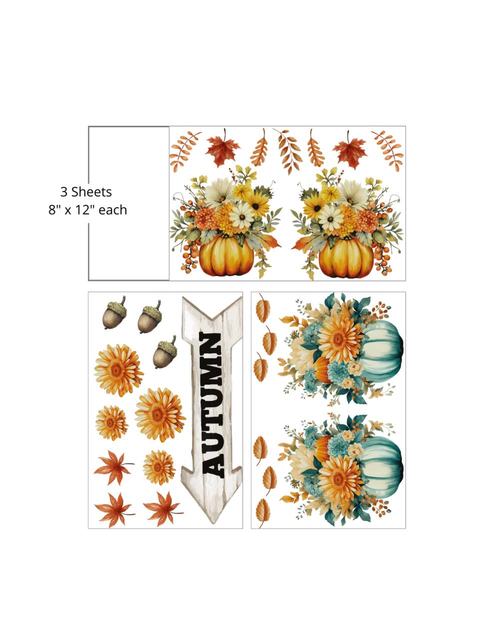 Dixie Belle Hey Punkin - Mid Transfer