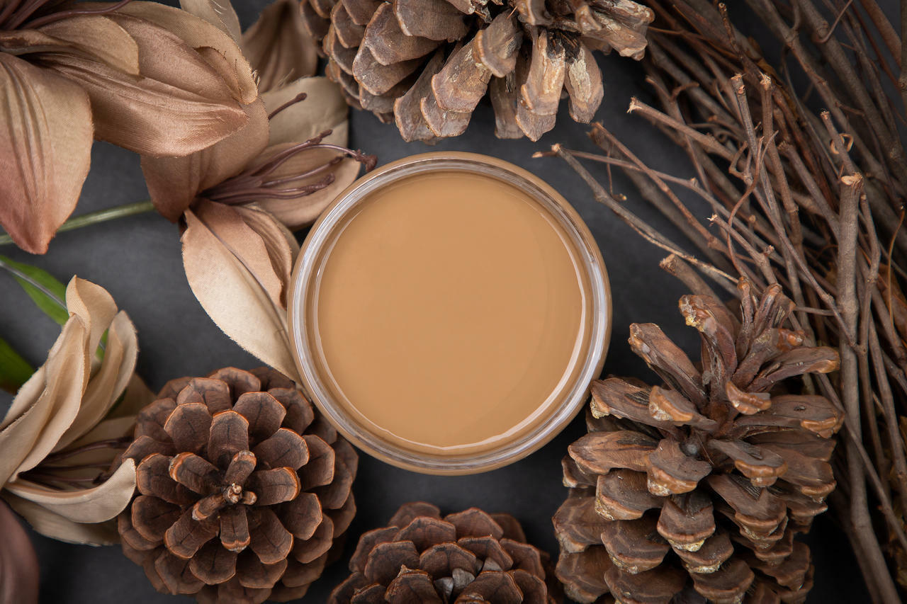 Dixie Belle Pine Cone Chalk Mineral Paint