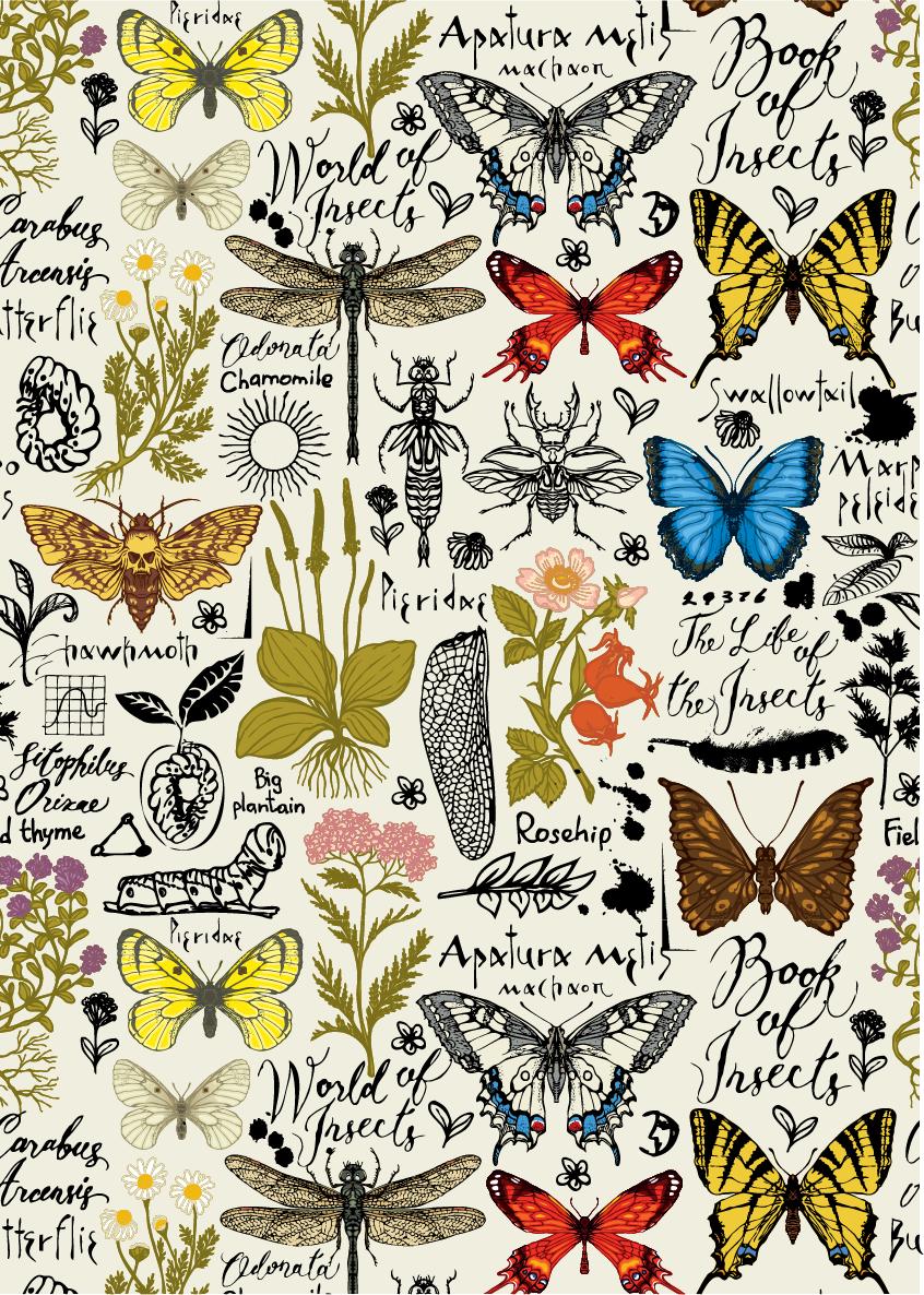 Dixie Belle Book of Insects - Rice Decoupage Paper