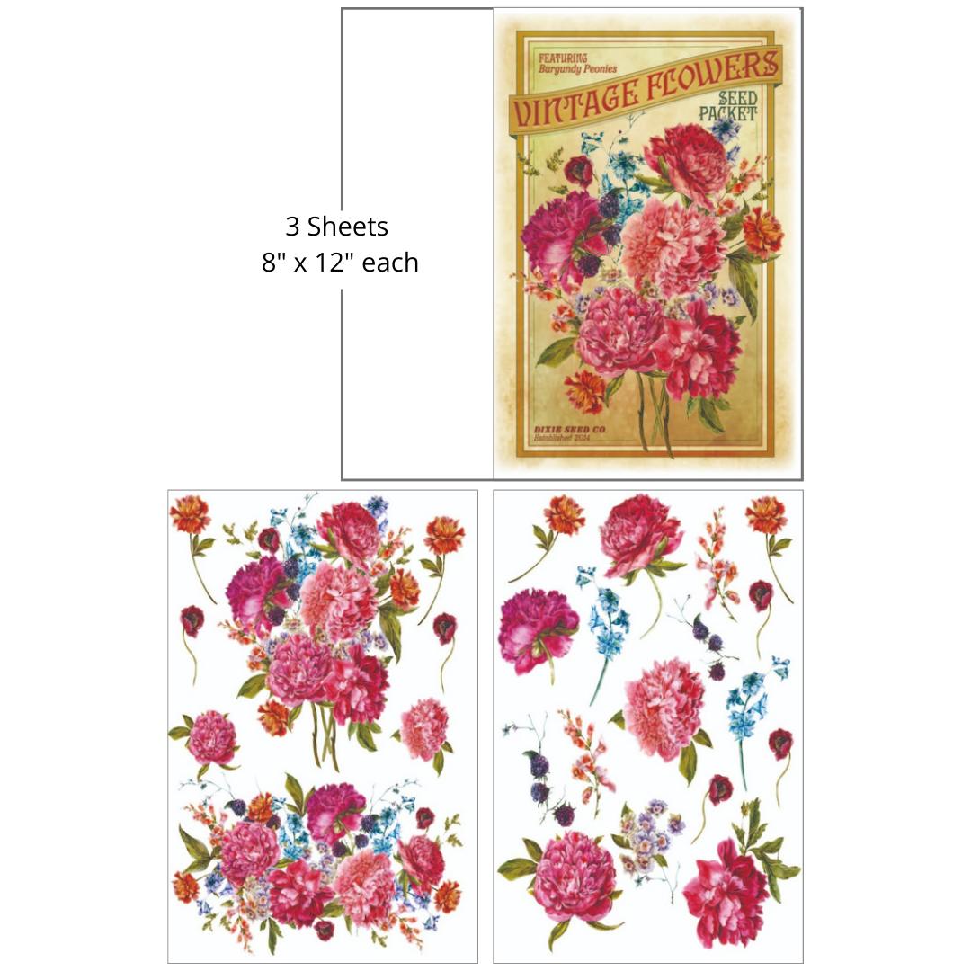 Dixie Belle Dixie Seed Co. - Mid Transfer