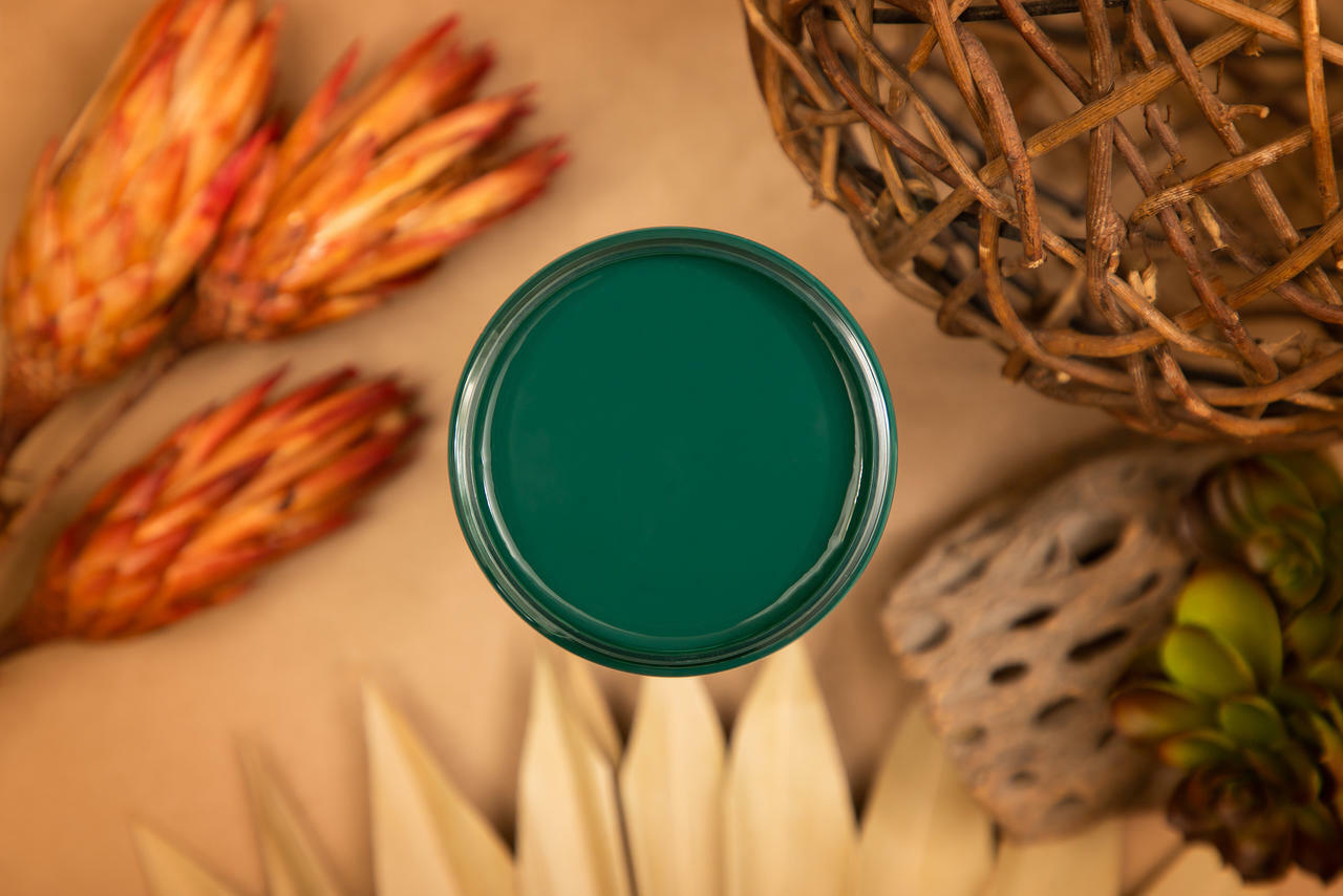 Dixie Belle Midnight Green Silk All-In-One Mineral Paint®