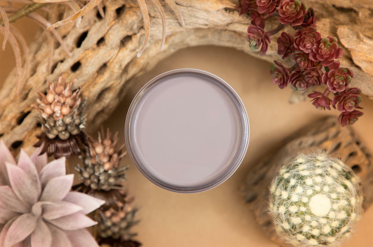 Dixie Belle Morning Sunrise Silk All-In-One Mineral Paint®