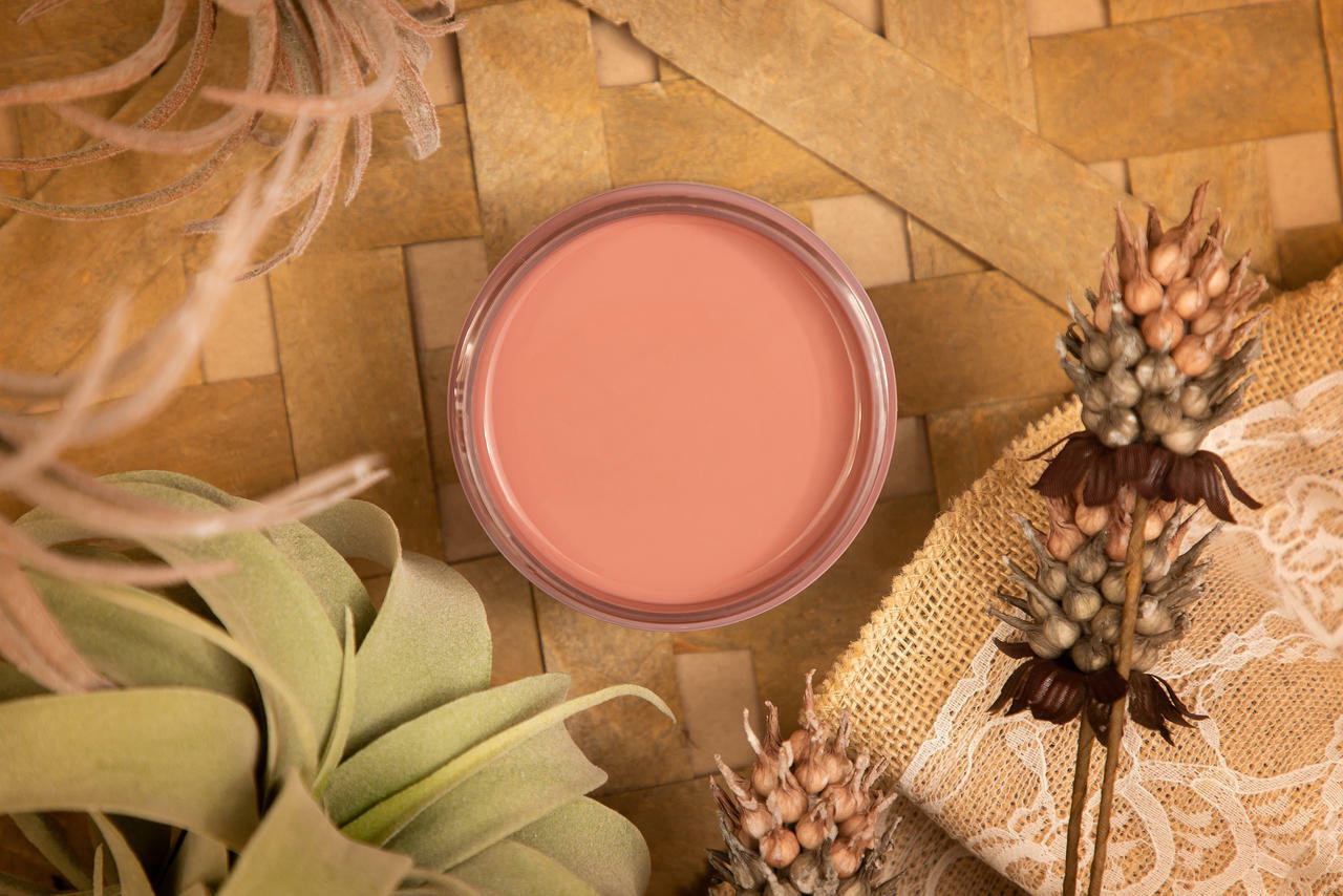 Dixie Belle Desert Rose Silk All-In-One Mineral Paint®