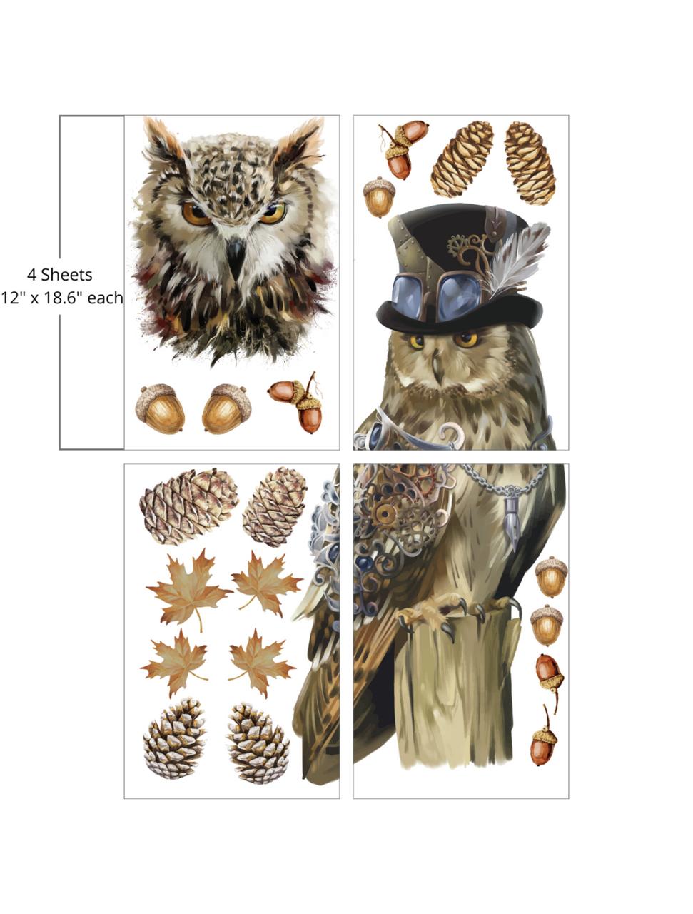 Dixie Belle Steampunk Owl Adventure - Large Transfer