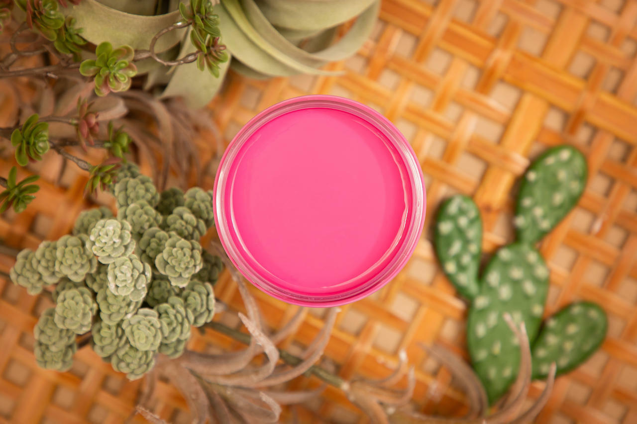 Dixie Belle Prickly Pear Silk All-In-One Mineral Paint®