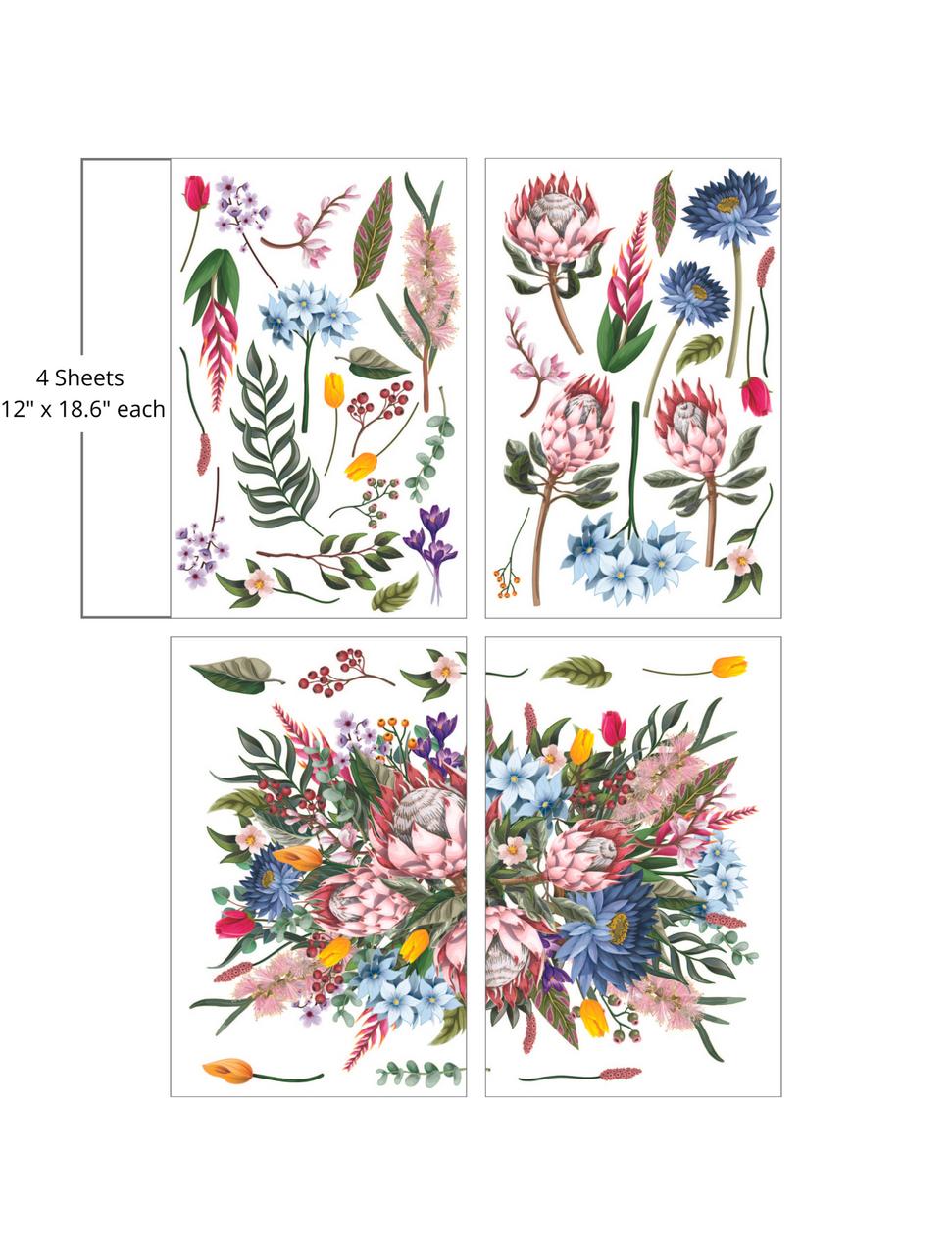 Dixie Belle King Protea - Large Transfer