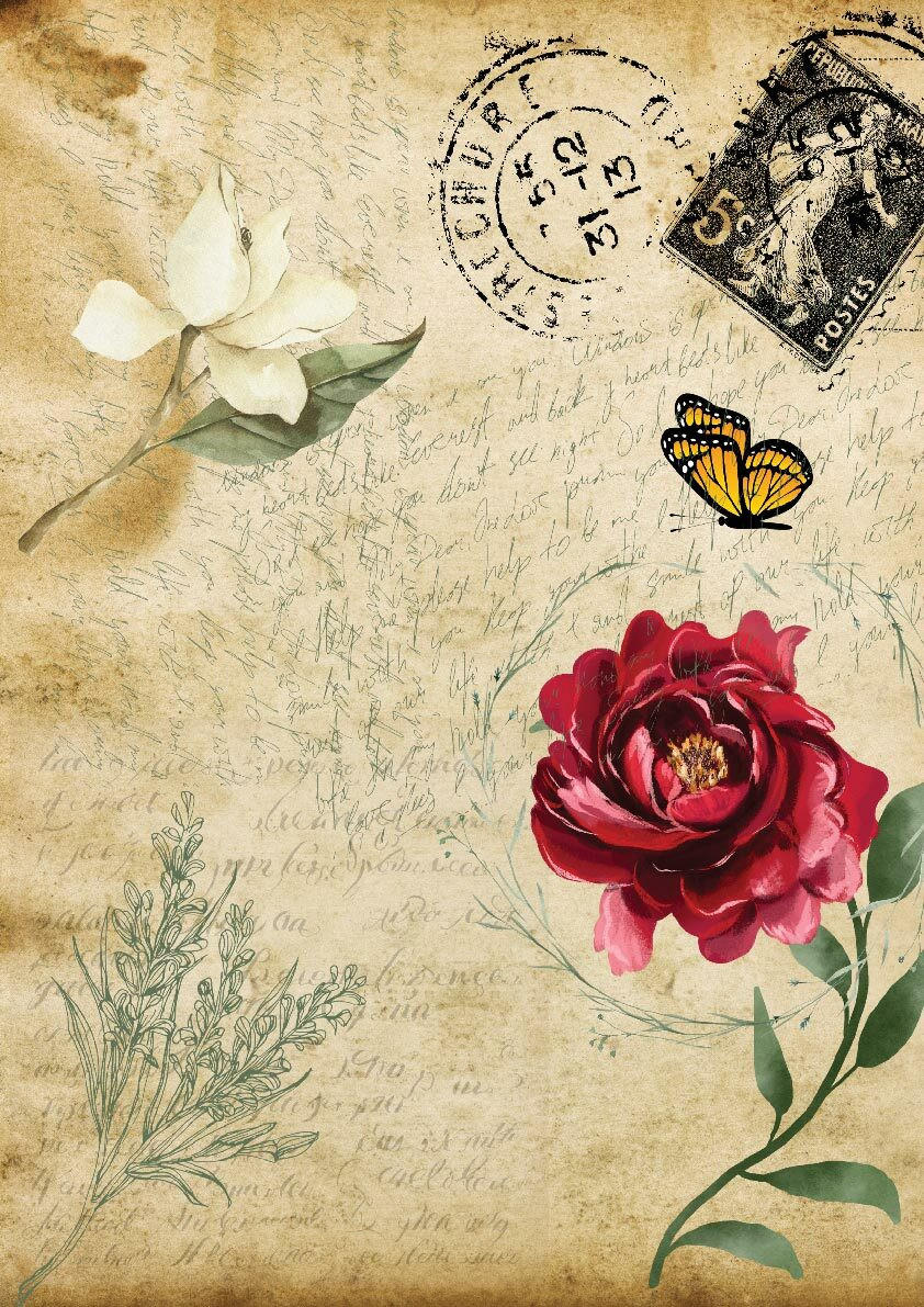 Dixie Belle Old Postcard - A3 Rice Decoupage Paper