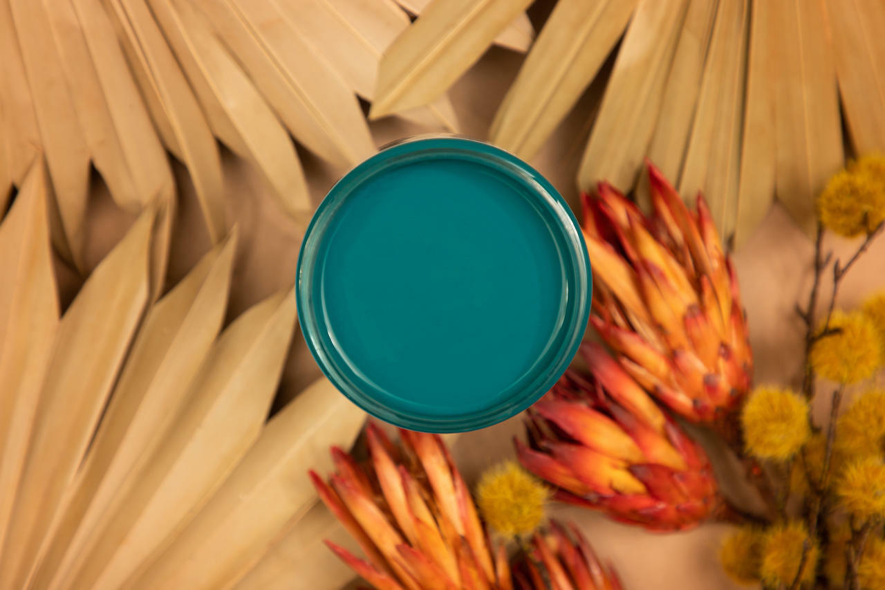 Dixie Belle Oasis Silk All-In-One Mineral Paint®