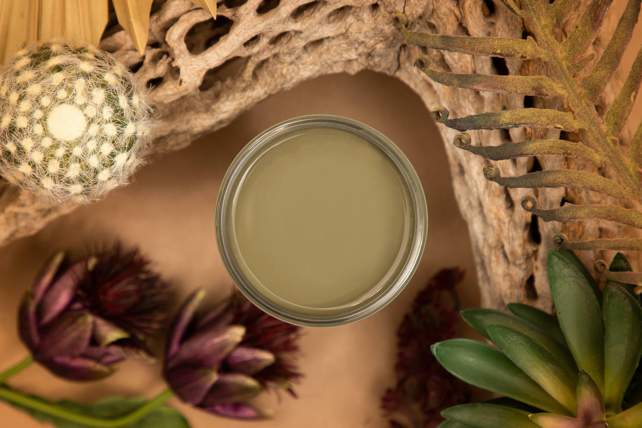 Dixie Belle Cactus Silk All-In-One Mineral Paint®