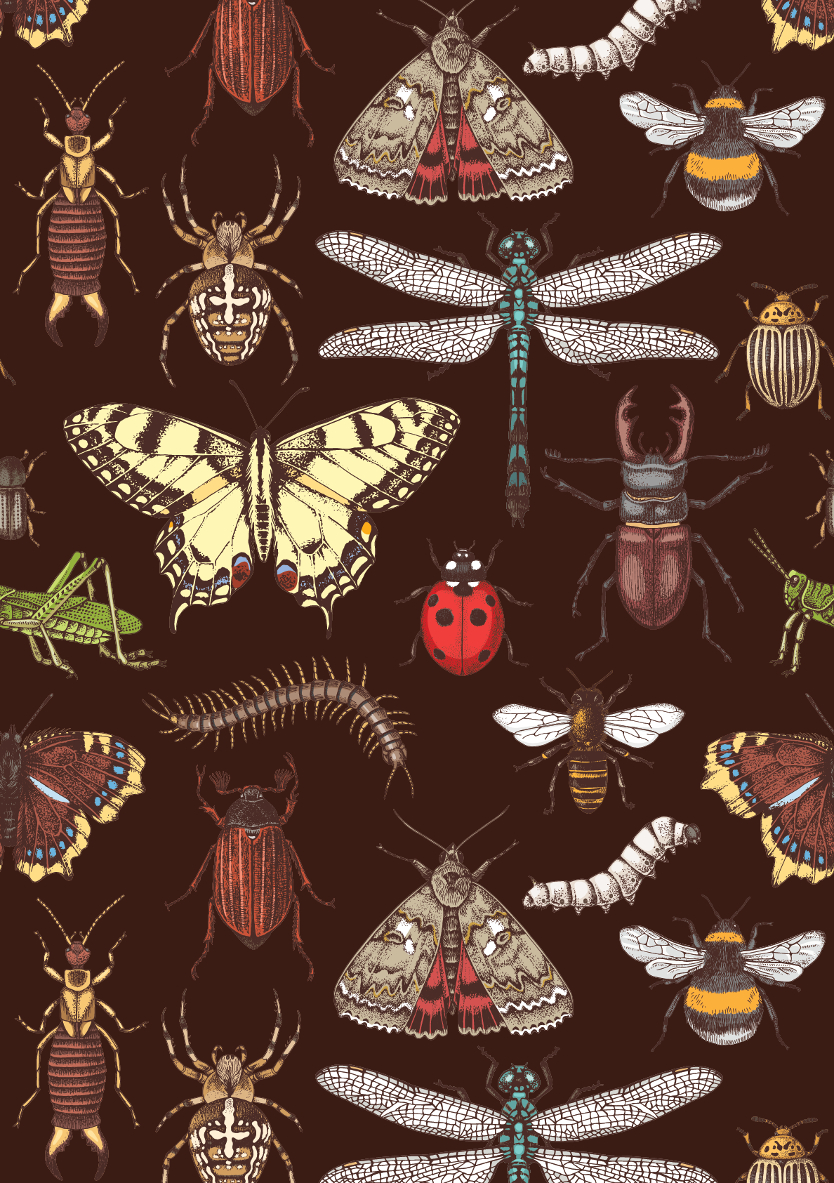 Dixie Belle Entomology Archive - A2 Rice Decoupage Paper